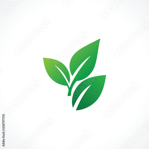 Green Leaf Nature Logo | Eco-Friendly Organic Plant Symbol Design