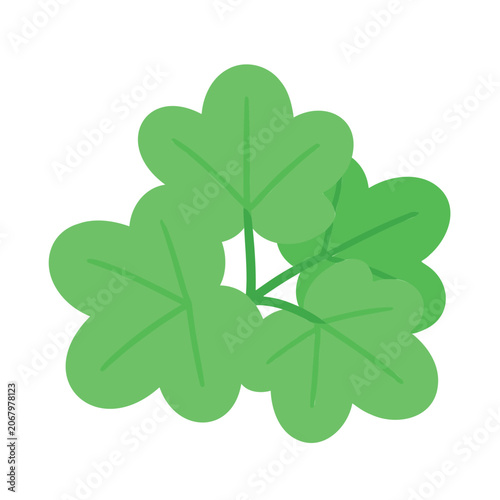 Stylized green leafy plant with visible stems and leaf veins on a white background