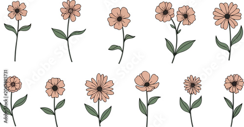 Vintage Floral Clipart Bundle, Wildflower Vector Collection, Botanical Flower Illustrations, Daisy Tulip Bouquet SVG PNG