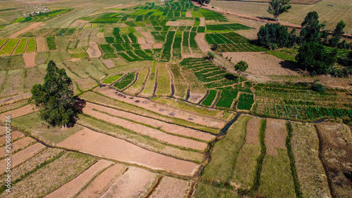 Aerial shot of lush green landscape