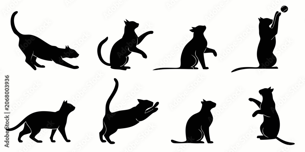 Fototapeta premium Black silhouette of 16 different cat poses in style animal feline shapes sitting cat
