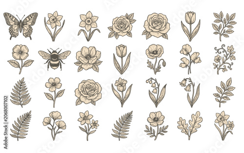 Vintage botanical illustrations of flowers and insects in sepia tones
