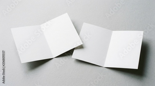 Two blank white brochures on gray background
