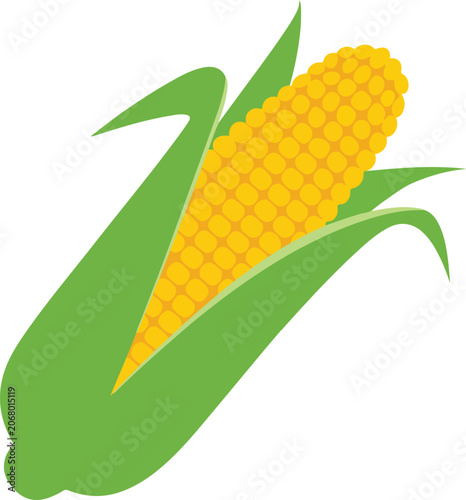 Yellow Corn on Green Leaves Isolated on White