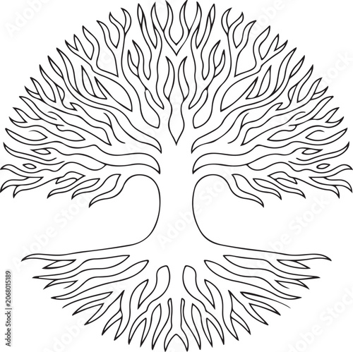 Tree Branches Isolated on White Background