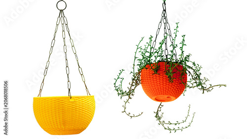 Hanging baskets with cascading plants and chains trailing container botanical isolated decoration gardening arrangement plantlife
