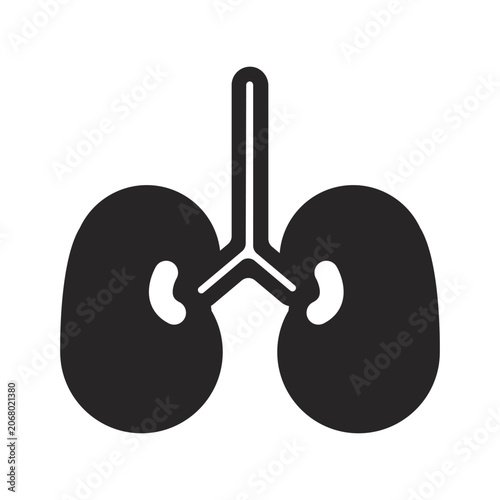 Human kidney glyph icon organ anatomy internal medicine system physiology medical healthcare structure biology health diagram shape silhouette contour