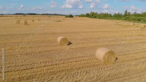 Drone footage captures a vast, golden agricultural field dotted with numerous round hay bales under a bright blue sky with white clouds. The scene depicts the completion of the wheat harvest in a pict