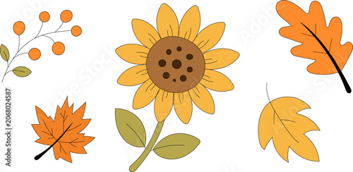 Cute autumn doodle set with sunflower, fall leaves and berries. Hand drawn seasonal botanical collection.