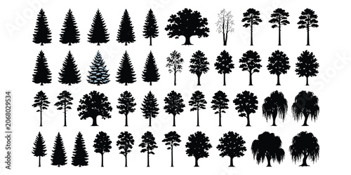 Photos Black tree silhouettes collection including pine and deciduous trees
