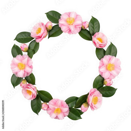 Pink Rose Floral Wreath Frame Isolated on Transparent Background