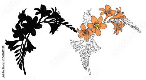 Floral arrangement with orange lily and black silhouette illustration