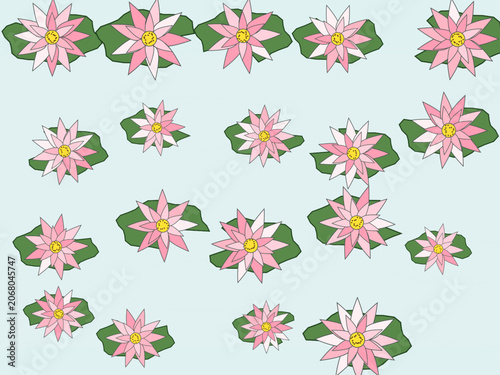 Elegant Lotus Bloom Water Surface Background