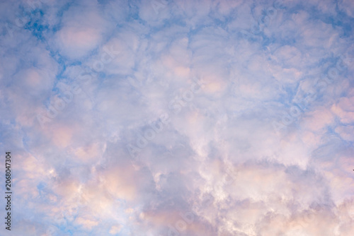 Obraz na plátně Pastel clouds at sunset over soft blue sky with cottony texture and warm light