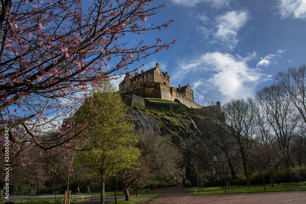 Obraz premium A view of Edinburgh Castle from Princess Street Gardens on a beautiful clear day with a cherry tree coming into bloom on the left side of the frame.