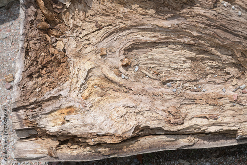 old wood texture