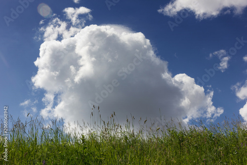 Green grassy hill under a bright blue sky with cumulus clouds.