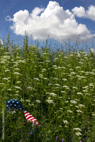 USA flag bikini top in tall summer grass with cow parsley.