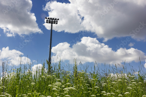 Stadium floodlight tower behind a grassy hill with white cow parsley.