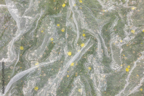Summer meadow with yellow dandelions under white mesh fabric.