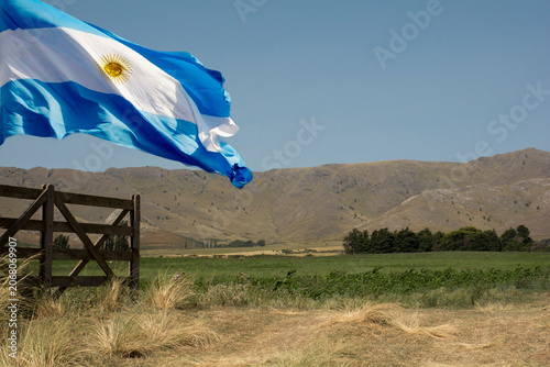 Quadro em tela entrance to a field with the Argentine flag