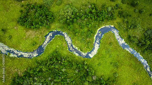 Top down view of river and swamps in summer