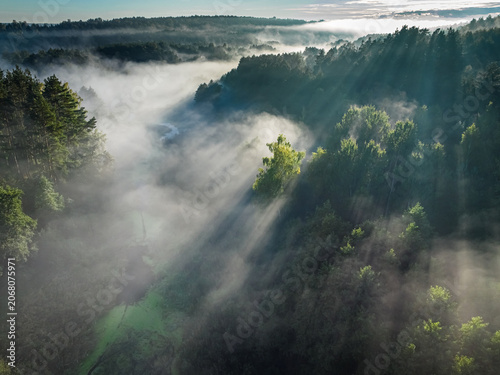 Misty forest in valley at sunrise in autumn.