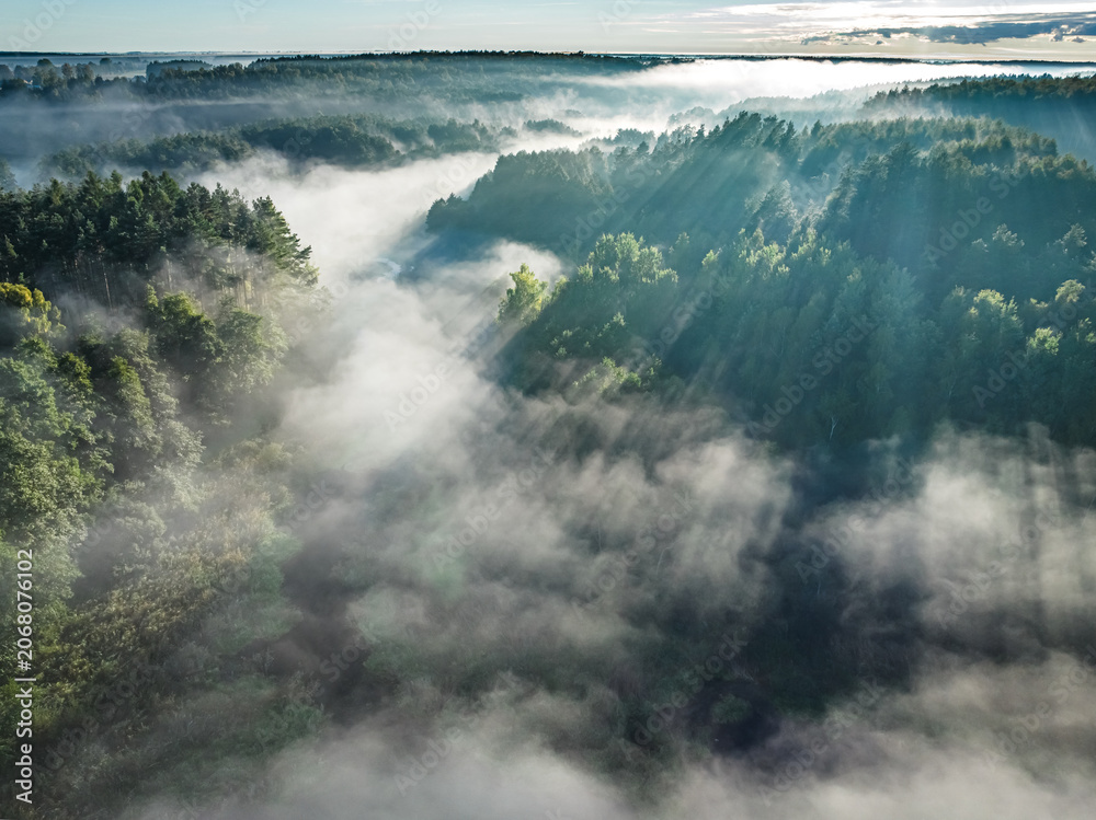 Naklejka premium Foggy forest and valley with river at sunrise in autumn.