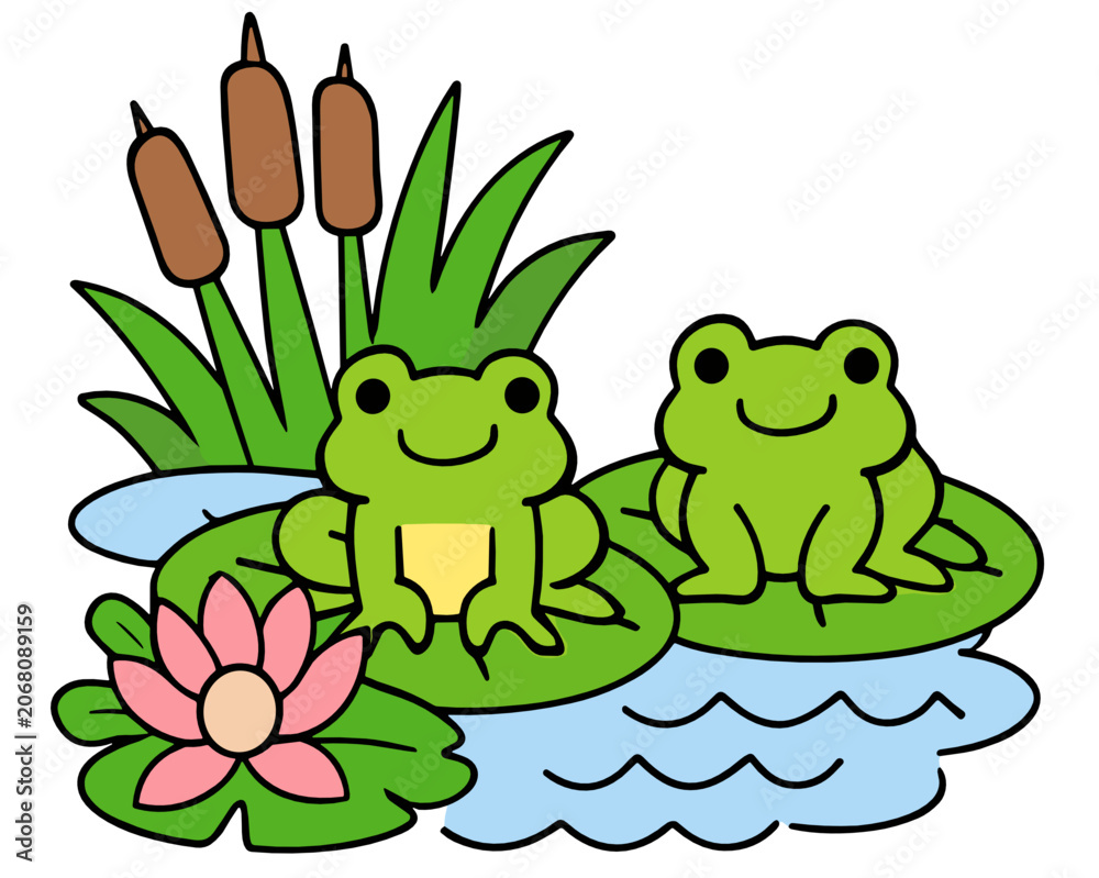 Fototapeta premium Two green frogs sitting on lily pads in a blue pond with pink lotus flowers and tall brown reeds. Nature and wetland wildlife concept in colorful cartoon vector illustration.