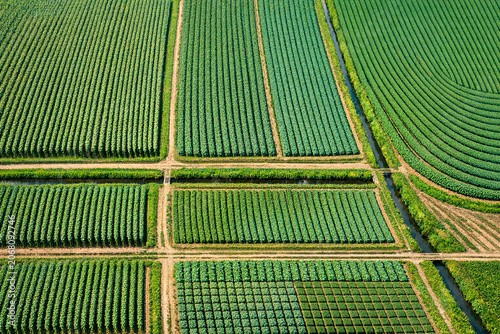 Aerial view of farmland divided into sections with dirt roads and small paths.