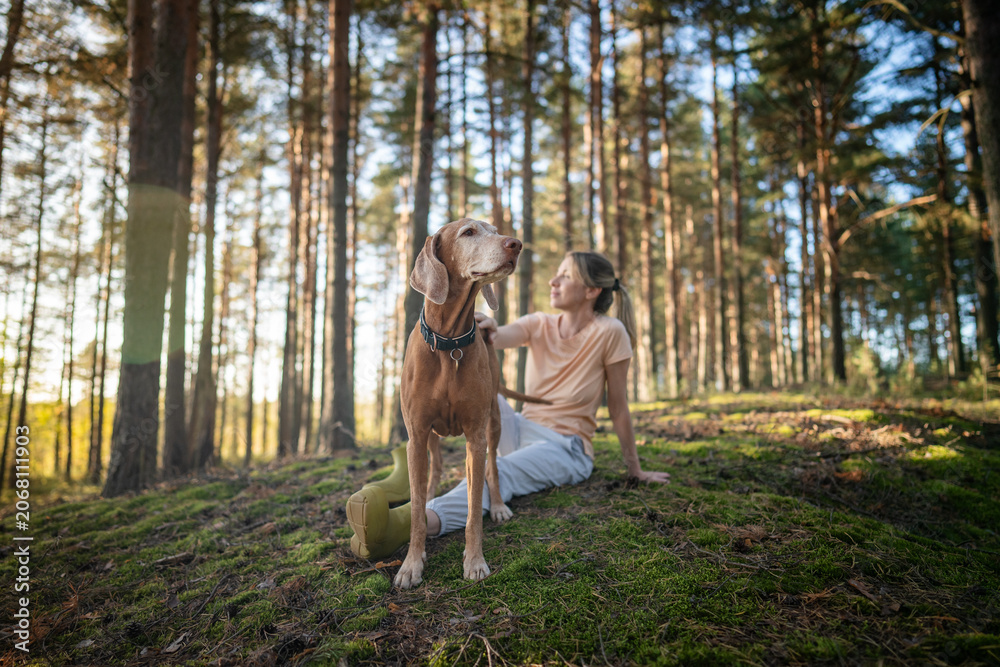 Fototapeta premium Woman pet owner lounging on green moss in forest at golden hour with Vizsla dog. Calm female unwinding in nature, woodland break after walk, enjoying quiet time, leisure in summer nature. 