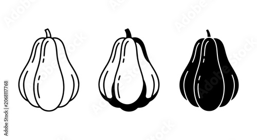 Bild auf Leinwand Butternut Squash Vector Icons, Outline and Silhouette, Autumn Harvest Food Graph