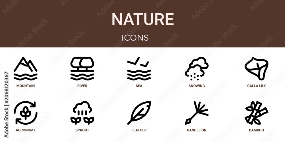 Fototapeta premium Set of 10 outline web Nature icons such as bamboo, dandelion, feather, sprout, agronomy, calla lily, snowing vector icons for report, presentation, diagram, web design, mobile app