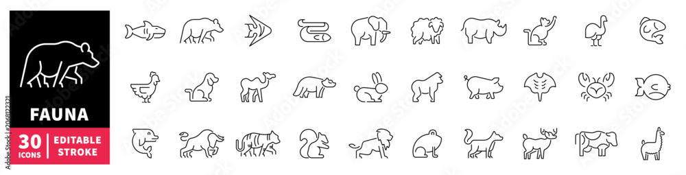 Obraz premium Collection of diverse animal icons representing fauna and wildlife