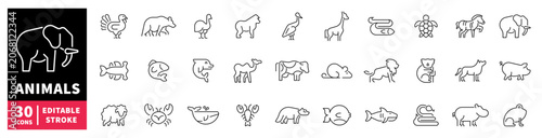 Photography Collection of diverse animal icons in a clean, editable stroke style