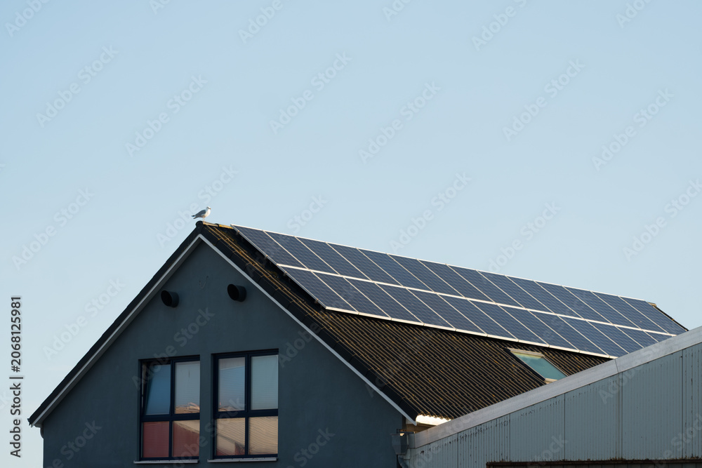 Fototapeta premium Solar Panels Mounted on Black Rooptop House with Single Seagull, The Concept of Clean Energy