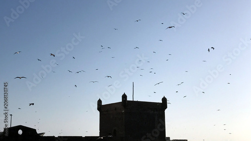 Silhouette of Essaouira Fortress Tower Against Blue Sky Filled with Seagulls