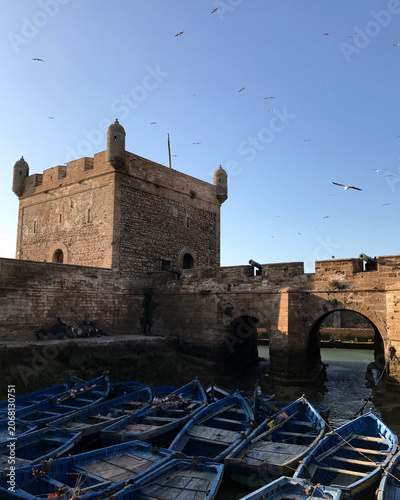 Historic Sqala du Port Fortress with Blue Boats and Seagulls at Essaouira, Morocco