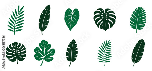Bild auf Leinwand Black tropical leaf silhouette vector set with isolated palm fronds and monstera