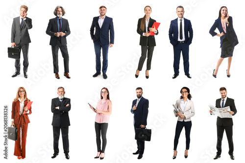 Картината върху платно Diverse business professionals group portrait corporate teamwork and collaborati