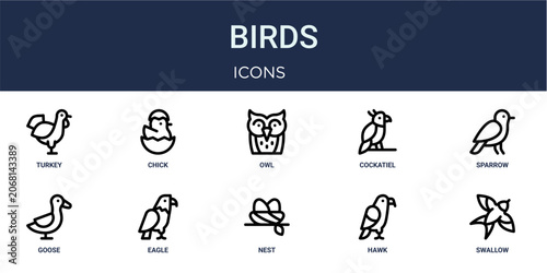 Εκτύπωση καμβά Set of 10 outline Birds icons for reports, landing pages and application screens