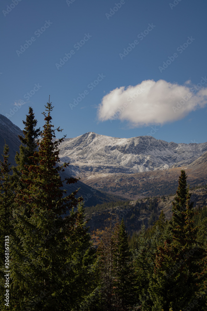 Obraz premium Beautiful rocky mountain overlook with a pine forest in the foreground of the image