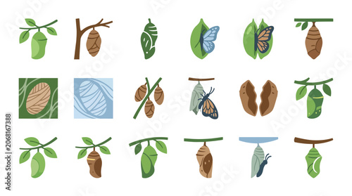 Metamorphosis Icons Showing Various Butterfly Chrysalis and Cocoon Stages on Branches
