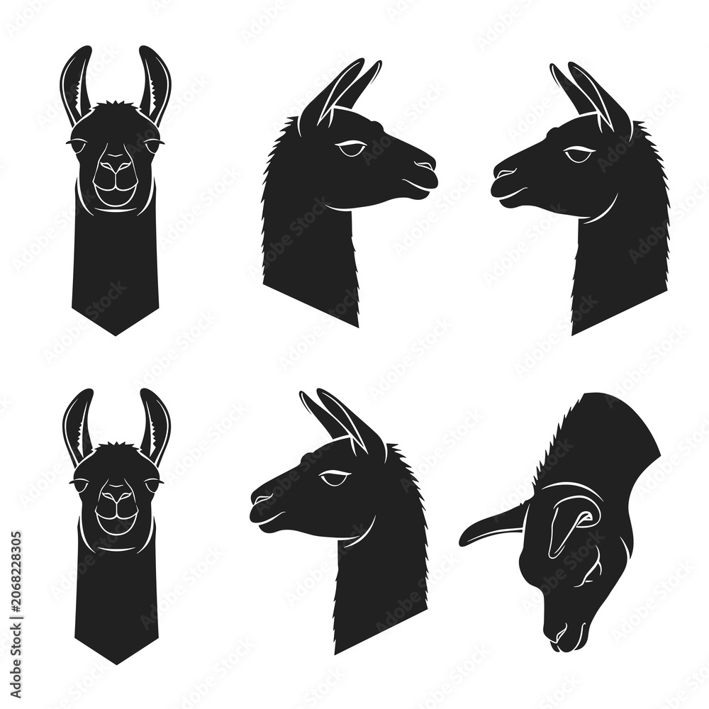 Fototapeta premium Set of Minimalist Black Lama Silhouette Profiles