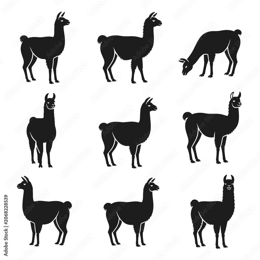 Fototapeta premium Set of Minimalist Black Lama Silhouette Poses