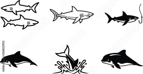 Shark dolphin ocean fish swimming vector illustration