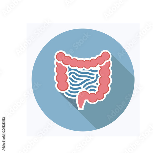 Flat icon of human intestine on blue background