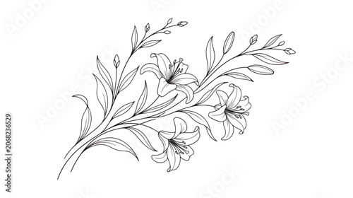 Foto Elegant lily flower line art vector, minimalist botanical branch with blooming l