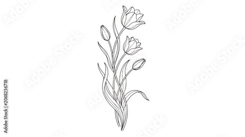 Foto Minimalist tulip flower line art, elegant botanical sketch vector, hand drawn fl