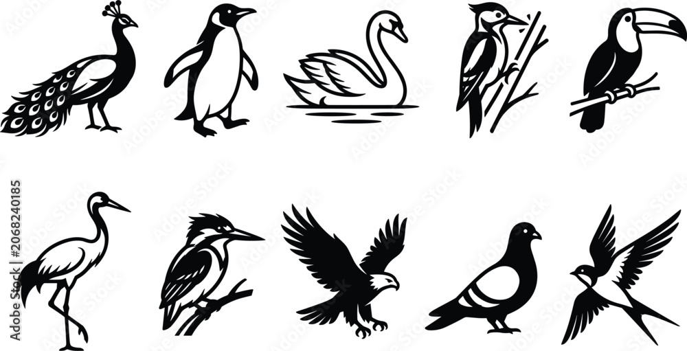 Obraz premium Black and white birds collection sketch line art vector illustrationBlack and white birds collection sketch line art vector illustration